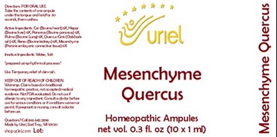 Mesenchyme Quercus Ampules.jpg Mesenchyme Quercus Ampules - Mesenchyme Quercus Ampules